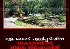 മുളകരമേട് പള്ളിപ്പടിയില്‍ വാകമരത്തിന്റെ ശിഖരം നിലംപൊത്തി: വന്‍ അപകടം ഒഴിവായി