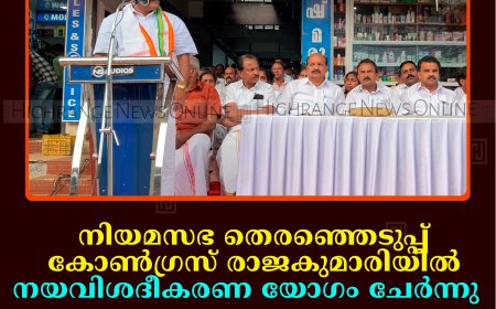 നിയമസഭ തെരഞ്ഞെടുപ്പ്: കോണ്‍ഗ്രസ് രാജകുമാരിയില്‍ നയവിശദീകരണ യോഗം ചേര്‍ന്നു  