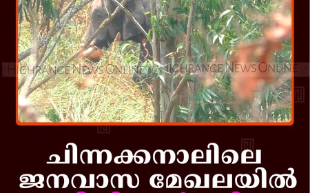 ചിന്നക്കനാലിലെ ജനവാസ മേഖലയില്‍ ഭീതി പടര്‍ത്തി ചക്കകൊമ്പന്‍   