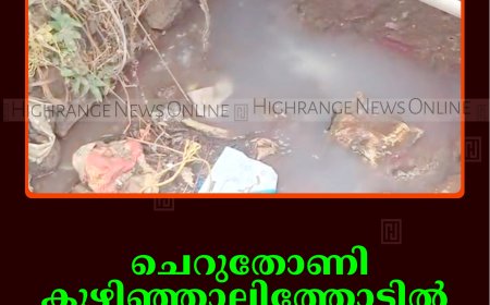 ചെറുതോണി കുഴിഞ്ഞാലിത്തോട്ടില്‍  മാലിന്യം തള്ളല്‍ രൂക്ഷം