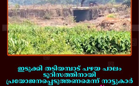 ഇടുക്കി തടിയമ്പാട് പഴയ പാലം ടൂറിസത്തിനായി പ്രയോജനപ്പെടുത്തണമെന്ന് നാട്ടുകാര്‍: ഇടപെടുമെന്ന് ഡീന്‍ കുര്യാക്കോസ് എംപി