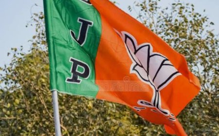 കട്ടപ്പന ശ്രീധര്‍മശാസ്താ ക്ഷേത്രോത്സവത്തിനിടെ വൈദ്യുതി മുടക്കം: ബിജെപി സമരം നടത്തും