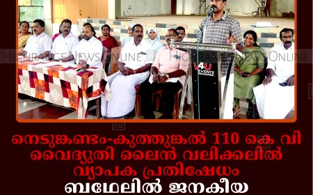നെടുങ്കണ്ടം-കുത്തുങ്കല്‍ 110 കെ വി വൈദ്യുതി ലൈന്‍ വലിക്കലില്‍ വ്യാപക പ്രതിഷേധം: ബഥേലില്‍ ജനകീയ കൂട്ടായ്മ യോഗം ചേര്‍ന്നു: നിബന്ധനകളുമായി നാട്ടുകാര്‍