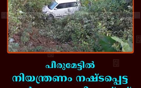 പീരുമേട്ടില്‍ നിയന്ത്രണം നഷ്ടപ്പെട്ട കാര്‍ കൊക്കയിലേയ്ക്ക് മറിഞ്ഞ് അപകടം