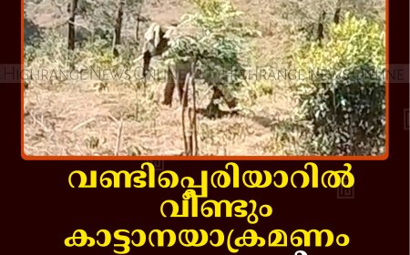 വണ്ടിപ്പെരിയാറില്‍ വീണ്ടും കാട്ടാനയാക്രമണം: ബൈക്കും കൃഷിയും നശിപ്പിച്ചു  