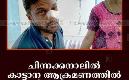 ചിന്നക്കനാലില്‍ കാട്ടാന ആക്രമണത്തില്‍ യുവാവിന് ഗുരുതര പരിക്ക് 