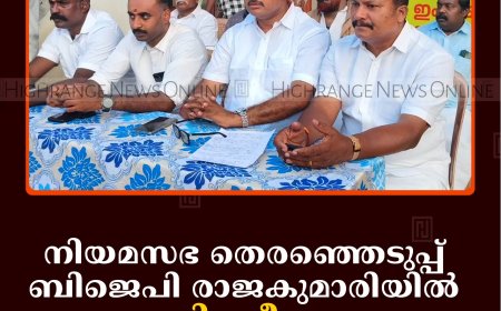 നിയമസഭ തെരഞ്ഞെടുപ്പ്: ബിജെപി രാജകുമാരിയില്‍ നയവിശദീകരണ യോഗം ചേര്‍ന്നു  
