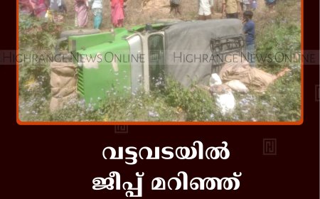 വട്ടവടയില്‍ ജീപ്പ് മറിഞ്ഞ് 6 പേര്‍ക്ക് പരിക്ക്  