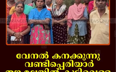 വേനല്‍ കനക്കുന്നു: വണ്ടിപ്പെരിയാര്‍ തങ്കമലയില്‍ കുടിവെള്ള ക്ഷാമം രൂക്ഷം 