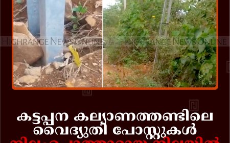 കട്ടപ്പന കല്യാണത്തണ്ടിലെ വൈദ്യുതി പോസ്റ്റുകള്‍ നിലംപൊത്താറായ നിലയില്‍: ഭീതിയോടെ നാട്ടുകാര്‍