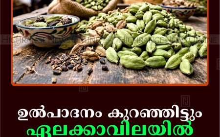 ഉല്‍പാദനം കുറഞ്ഞിട്ടും ഏലക്കാവിലയില്‍ വര്‍ധനയില്ല