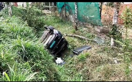 അടിമാലി ആയിരമേക്കറിൽ കാര്‍  താഴ്ചയിലേക്ക് മറിഞ്ഞ് അപകടം