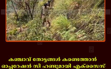 കഞ്ചാവ് തോട്ടങ്ങള്‍ കണ്ടെത്താന്‍ ഓപ്പറേഷന്‍ സി ഹണ്ടുമായി എക്‌സൈസ്: വട്ടവടയില്‍ പരിശോധന നടത്തി 