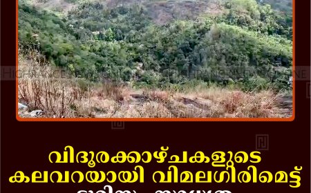 വിദൂരക്കാഴ്ചകളുടെ കലവറയായി വിമലഗിരിമെട്ട്: ടൂറിസം സാധ്യത പ്രയോജനപ്പെടുത്തുന്നില്ല