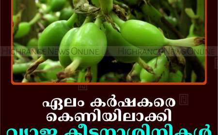 ഏലം കര്‍ഷകരെ കെണിയിലാക്കി വ്യാജ കീടനാശിനികള്‍ വിറ്റഴിക്കുന്നു