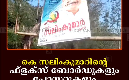 കെ സലിംകുമാറിന്റെ ഫ്‌ളക്‌സ് ബോര്‍ഡുകളും പോസ്റ്ററുകളും നശിപ്പിച്ചനിലയില്‍