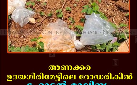 അണക്കര ഉദയഗിരിമേട്ടിലെ റോഡരികില്‍ ഹോട്ടല്‍ മാലിന്യം തള്ളിയതായി പരാതി  