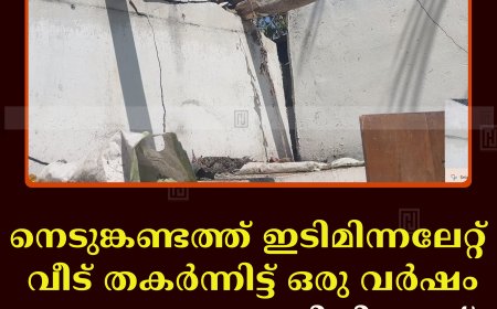 നെടുങ്കണ്ടത്ത് ഇടിമിന്നലേറ്റ് വീട് തകര്‍ന്നിട്ട് ഒരു വര്‍ഷം: ധനസഹായം ലഭിച്ചില്ലെന്ന് പരാതി
