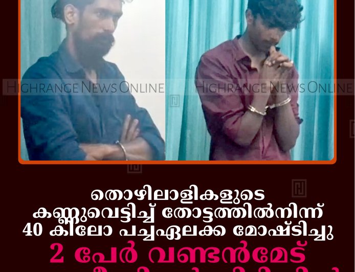 തൊഴിലാളികളുടെ കണ്ണുവെട്ടിച്ച് തോട്ടത്തില്‍നിന്ന് 40 കിലോ പച്ചഏലക്ക മോഷ്ടിച്ചു: 2 പേര്‍ വണ്ടന്‍മേട് പൊലീസിന്റെ പിടിയില്‍