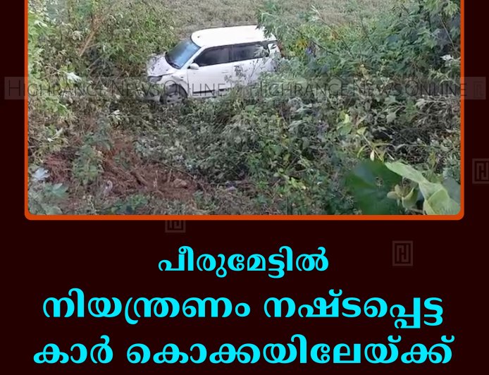 പീരുമേട്ടില്‍ നിയന്ത്രണം നഷ്ടപ്പെട്ട കാര്‍ കൊക്കയിലേയ്ക്ക് മറിഞ്ഞ് അപകടം