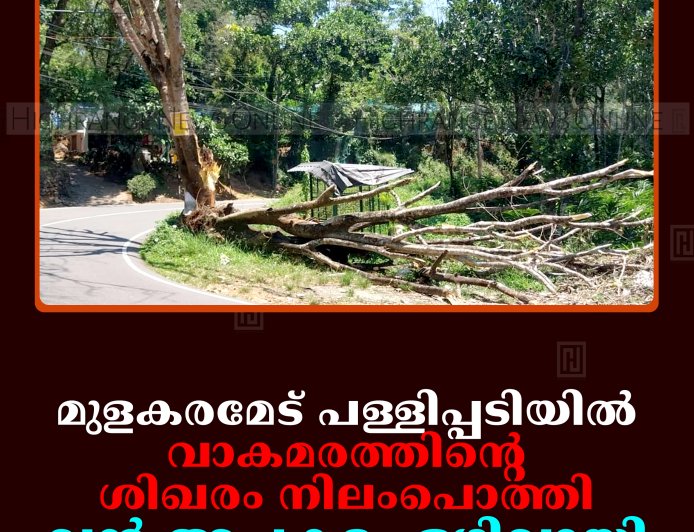 മുളകരമേട് പള്ളിപ്പടിയില്‍ വാകമരത്തിന്റെ ശിഖരം നിലംപൊത്തി: വന്‍ അപകടം ഒഴിവായി