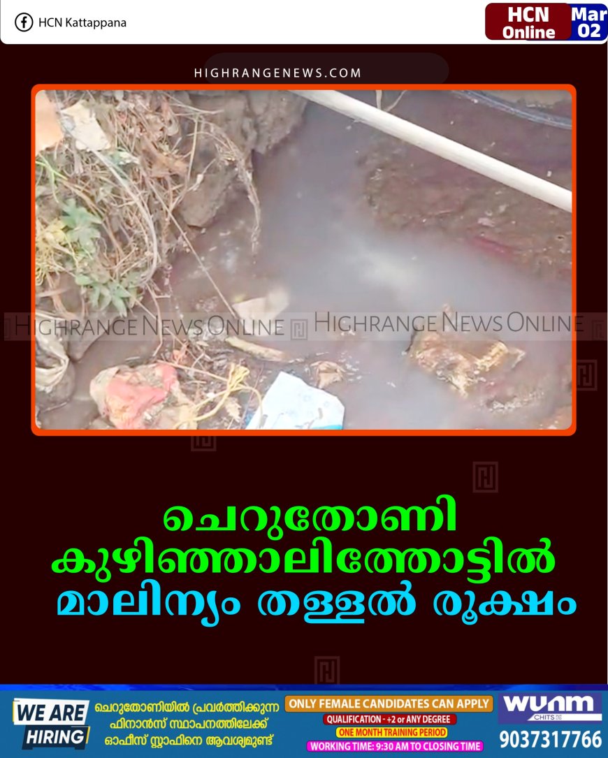 ചെറുതോണി കുഴിഞ്ഞാലിത്തോട്ടില്‍  മാലിന്യം തള്ളല്‍ രൂക്ഷം