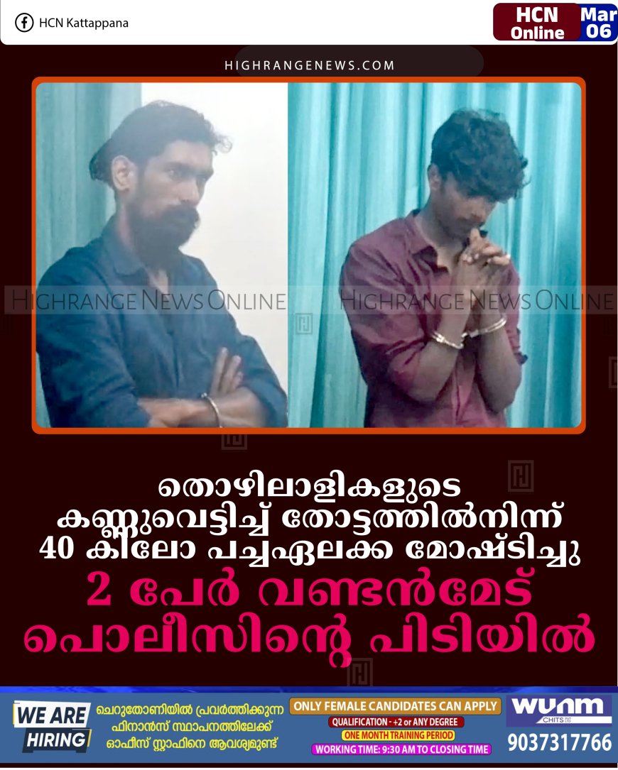തൊഴിലാളികളുടെ കണ്ണുവെട്ടിച്ച് തോട്ടത്തില്‍നിന്ന് 40 കിലോ പച്ചഏലക്ക മോഷ്ടിച്ചു: 2 പേര്‍ വണ്ടന്‍മേട് പൊലീസിന്റെ പിടിയില്‍