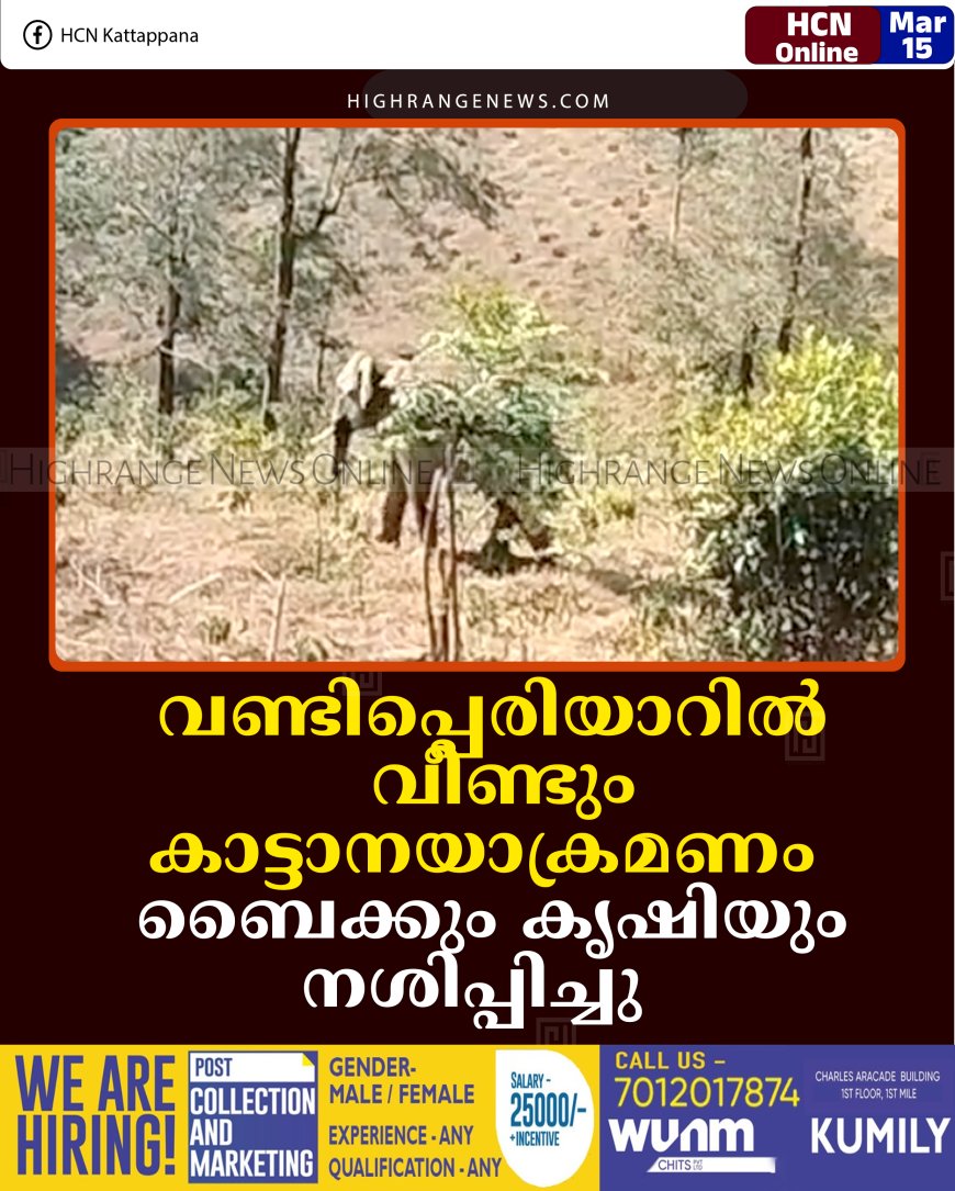 വണ്ടിപ്പെരിയാറില്‍ വീണ്ടും കാട്ടാനയാക്രമണം: ബൈക്കും കൃഷിയും നശിപ്പിച്ചു  