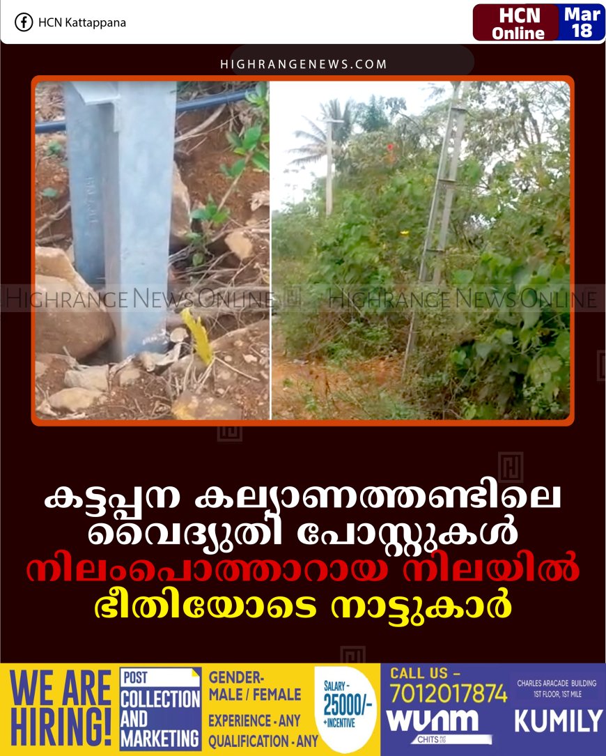 കട്ടപ്പന കല്യാണത്തണ്ടിലെ വൈദ്യുതി പോസ്റ്റുകള്‍ നിലംപൊത്താറായ നിലയില്‍: ഭീതിയോടെ നാട്ടുകാര്‍