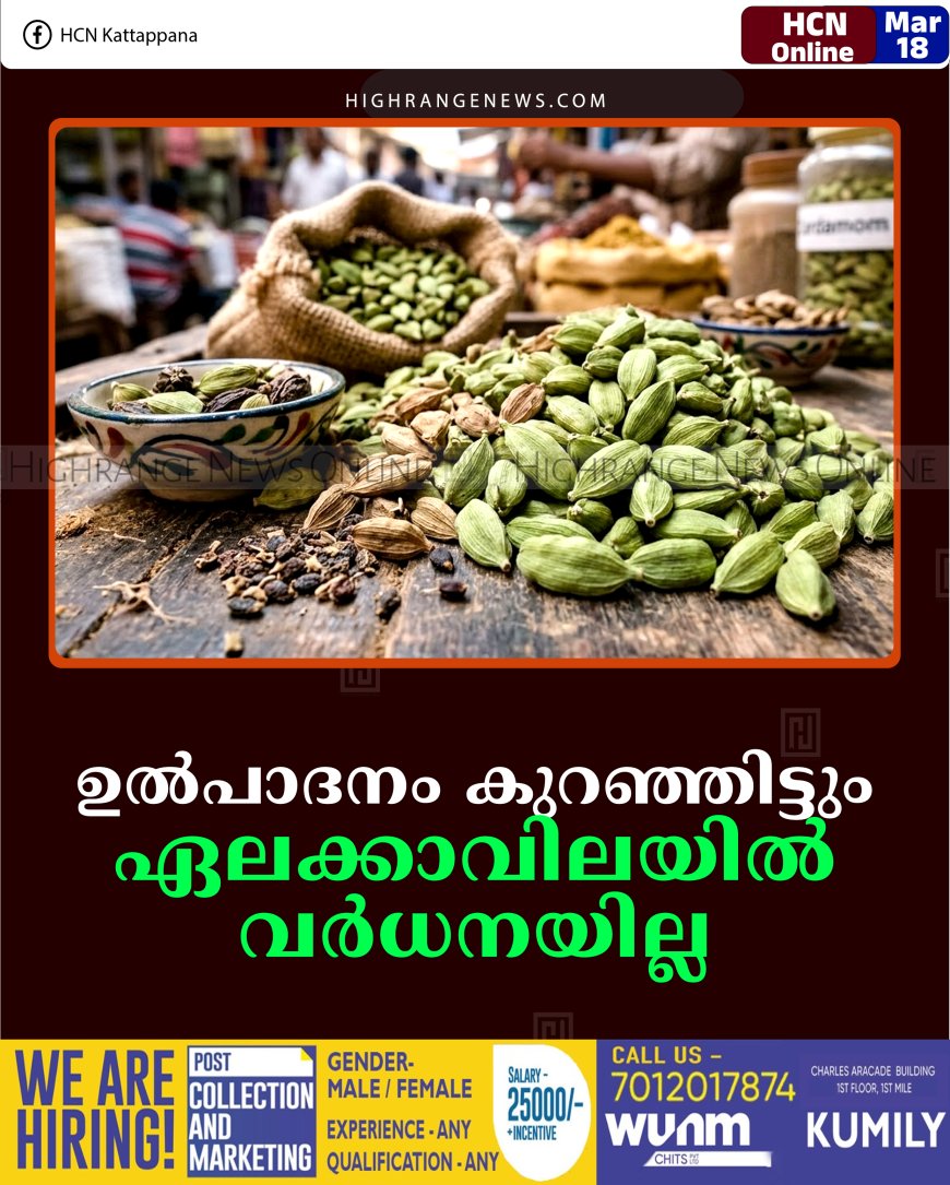 ഉല്‍പാദനം കുറഞ്ഞിട്ടും ഏലക്കാവിലയില്‍ വര്‍ധനയില്ല