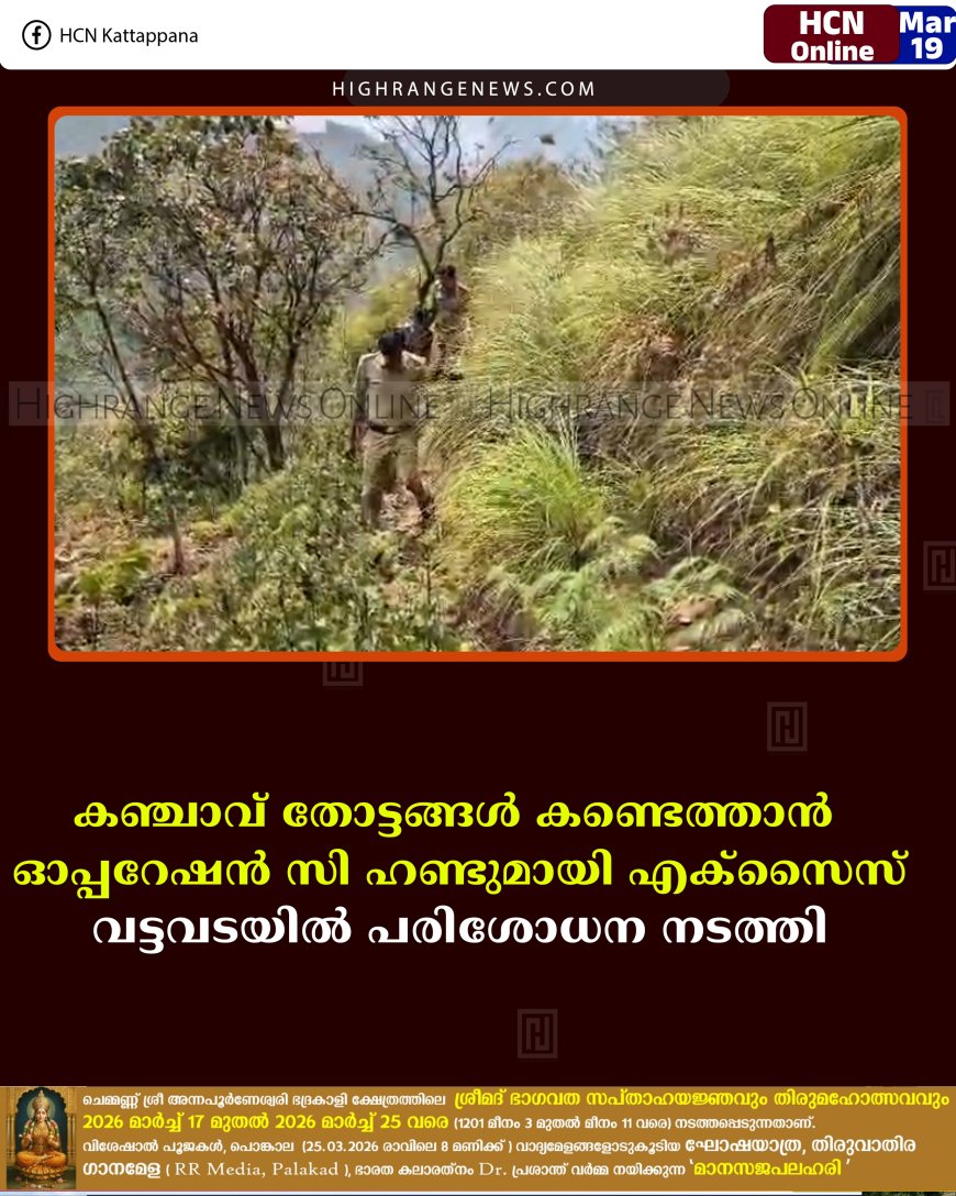 കഞ്ചാവ് തോട്ടങ്ങള്‍ കണ്ടെത്താന്‍ ഓപ്പറേഷന്‍ സി ഹണ്ടുമായി എക്‌സൈസ്: വട്ടവടയില്‍ പരിശോധന നടത്തി 