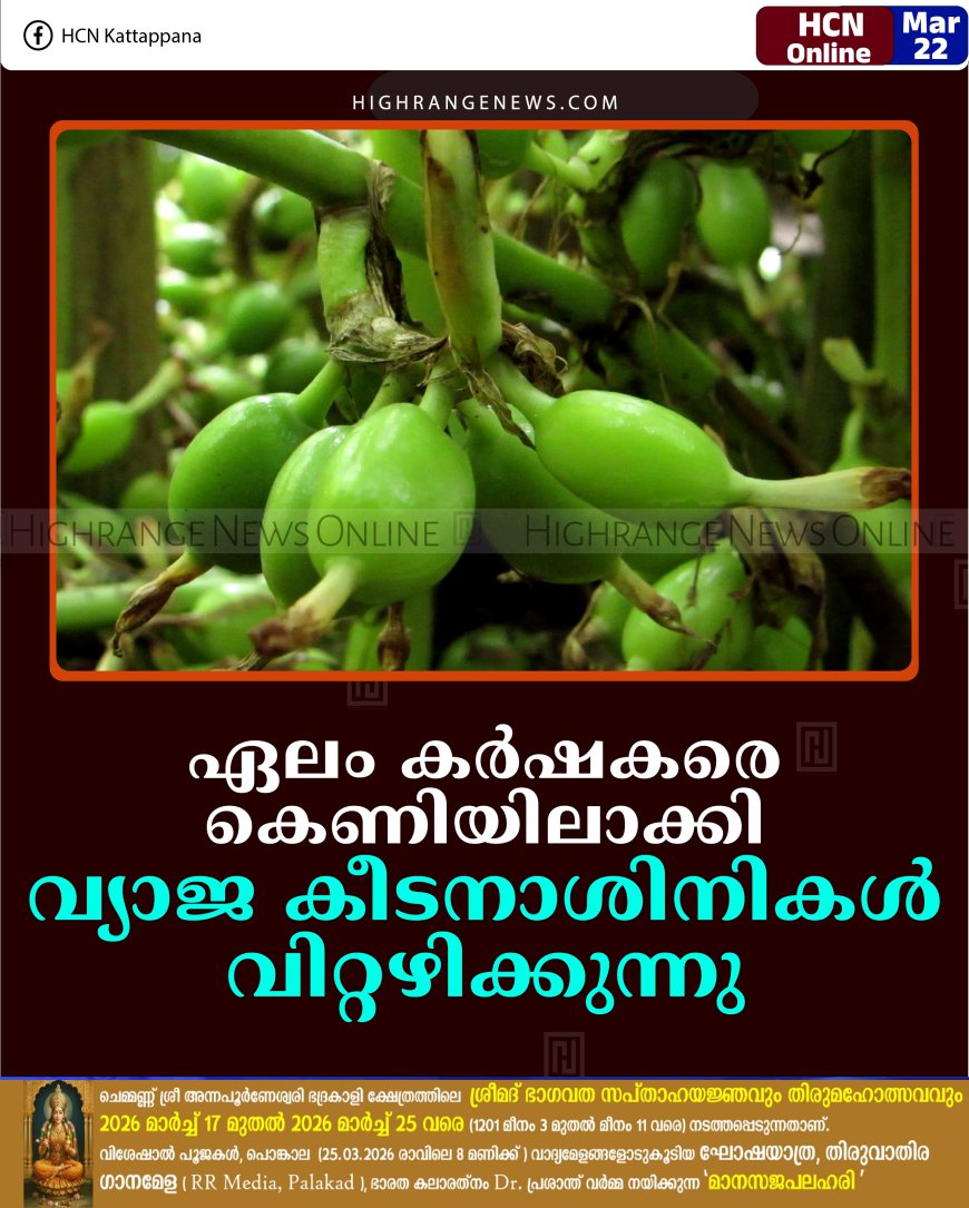 ഏലം കര്‍ഷകരെ കെണിയിലാക്കി വ്യാജ കീടനാശിനികള്‍ വിറ്റഴിക്കുന്നു