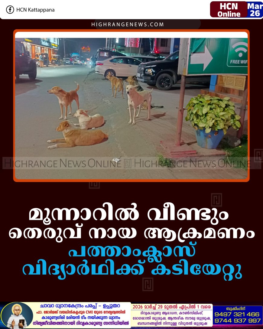 മൂന്നാറില്‍ വീണ്ടും തെരുവ് നായ ആക്രമണം: പത്താംക്ലാസ് വിദ്യാര്‍ഥിക്ക് കടിയേറ്റു