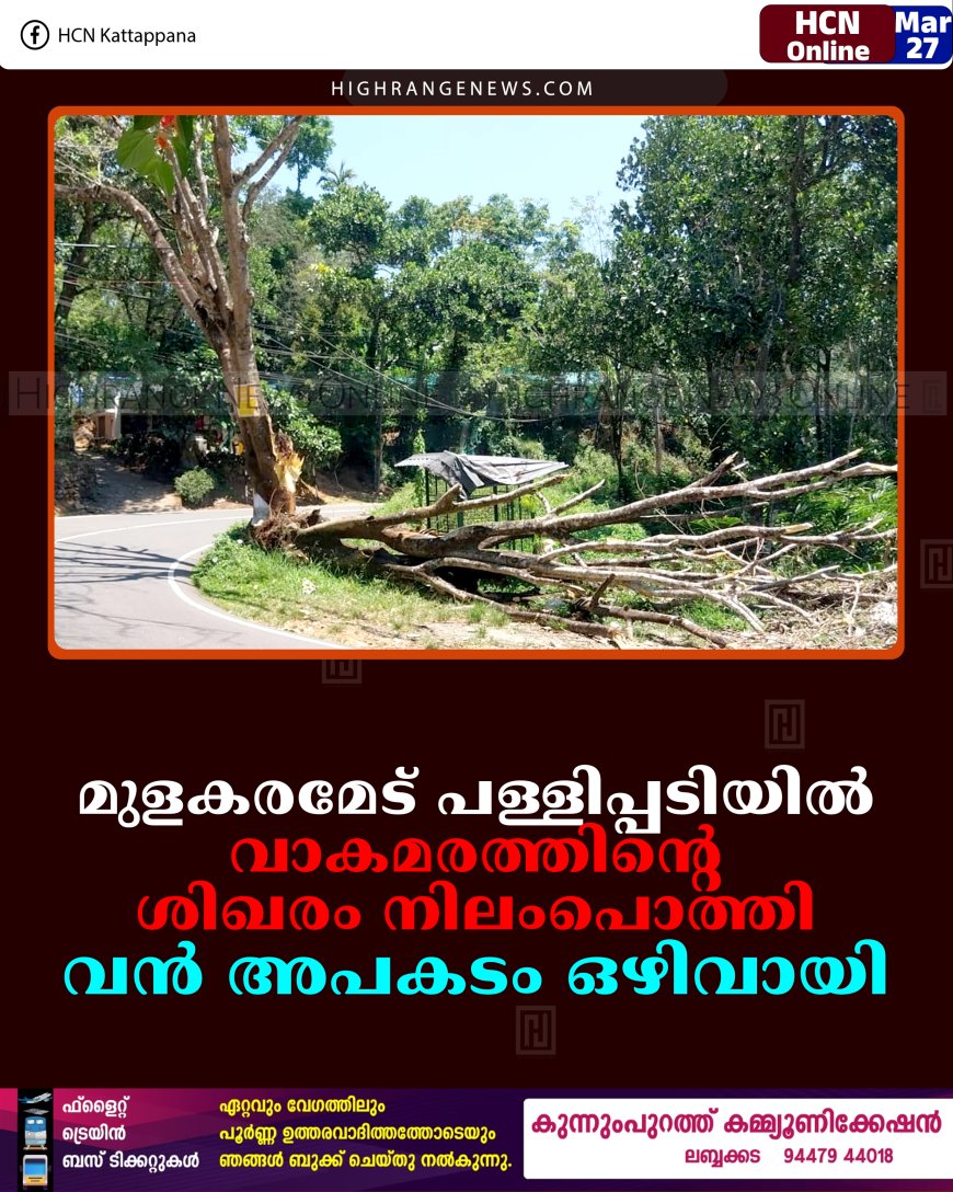 മുളകരമേട് പള്ളിപ്പടിയില്‍ വാകമരത്തിന്റെ ശിഖരം നിലംപൊത്തി: വന്‍ അപകടം ഒഴിവായി