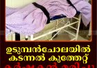 ഉടുമ്പന്‍ചോലയില്‍ കടന്നല്‍ കുത്തേറ്റ് കര്‍ഷകന്‍ മരിച്ചു