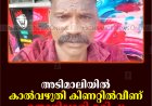 അടിമാലിയില്‍ കാല്‍വഴുതി കിണറ്റില്‍വീണ് തൊഴിലാളി മരിച്ചു