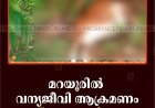 മറയൂരില്‍ വന്യജീവി ആക്രമണം:  രണ്ട് പശുക്കള്‍ ചത്തു 