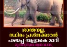 ശാന്തനല്ല, സ്ഥിരം പ്രശ്‌നക്കാരന്‍: പടയപ്പ ആളാകെ മാറി: മൂന്നാറിലെ ജനവാസ മേഖലകളില്‍ സ്ഥിരസാന്നിധ്യം: ഭീതിയോടെ നാട്ടുകാര്‍
