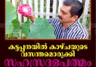 കട്ടപ്പനയില്‍ കാഴ്ചയുടെ വസന്തമൊരുക്കി സഹസ്രദളപത്മം വിരിഞ്ഞു