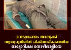 നെടുങ്കണ്ടം താലൂക്ക് ആശുപത്രിയില്‍ ചികിത്സയ്‌ക്കെത്തിയ ഓട്ടോറിക്ഷ തൊഴിലാളിയെ മര്‍ദിച്ചതായി പരാതി    