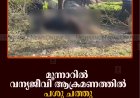 മൂന്നാറില്‍ വന്യജീവി ആക്രമണത്തില്‍ പശു ചത്തു 