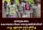 നെടുങ്കണ്ടം കോമ്പയാറിലെ തോട്ടത്തില്‍നിന്ന് പച്ച ഏലക്കാ മോഷ്ടിച്ചയാള്‍ പിടിയില്‍ 