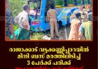 രാജാക്കാട് വട്ടക്കണ്ണിപ്പാറയില്‍ മിനി ബസ് മരത്തിലിടിച്ച് 3 പേര്‍ക്ക് പരിക്ക്: അപകടത്തില്‍പ്പെട്ടത് തമിഴ്‌നാട് തഞ്ചാവൂരില്‍നിന്നുള്ള വിനോദസഞ്ചാരികള്‍