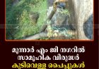 മൂന്നാര്‍ എം ജി നഗറില്‍ സാമൂഹിക വിരുദ്ധര്‍ കുടിവെള്ള പൈപ്പുകള്‍ പൊട്ടിച്ചതായി പരാതി 