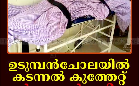 ഉടുമ്പന്‍ചോലയില്‍ കടന്നല്‍ കുത്തേറ്റ് കര്‍ഷകന്‍ മരിച്ചു
