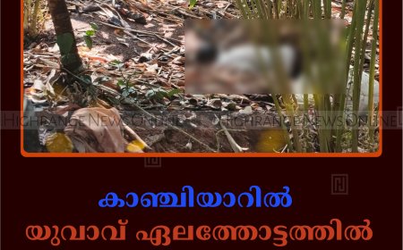 കാഞ്ചിയാറില്‍ യുവാവ് ഏലത്തോട്ടത്തില്‍ മരിച്ച നിലയില്‍