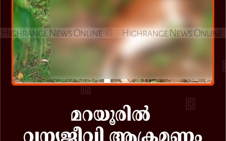 മറയൂരില്‍ വന്യജീവി ആക്രമണം:  രണ്ട് പശുക്കള്‍ ചത്തു 