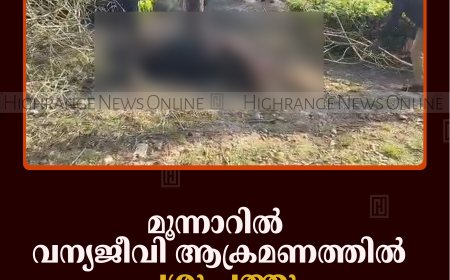 മൂന്നാറില്‍ വന്യജീവി ആക്രമണത്തില്‍ പശു ചത്തു 