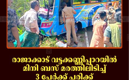 രാജാക്കാട് വട്ടക്കണ്ണിപ്പാറയില്‍ മിനി ബസ് മരത്തിലിടിച്ച് 3 പേര്‍ക്ക് പരിക്ക്: അപകടത്തില്‍പ്പെട്ടത് തമിഴ്‌നാട് തഞ്ചാവൂരില്‍നിന്നുള്ള വിനോദസഞ്ചാരികള്‍
