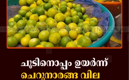 ചൂടിനൊപ്പം ഉയര്‍ന്ന് ചെറുനാരങ്ങ വില    